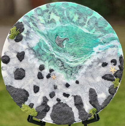 Tide Pool - Primary Image