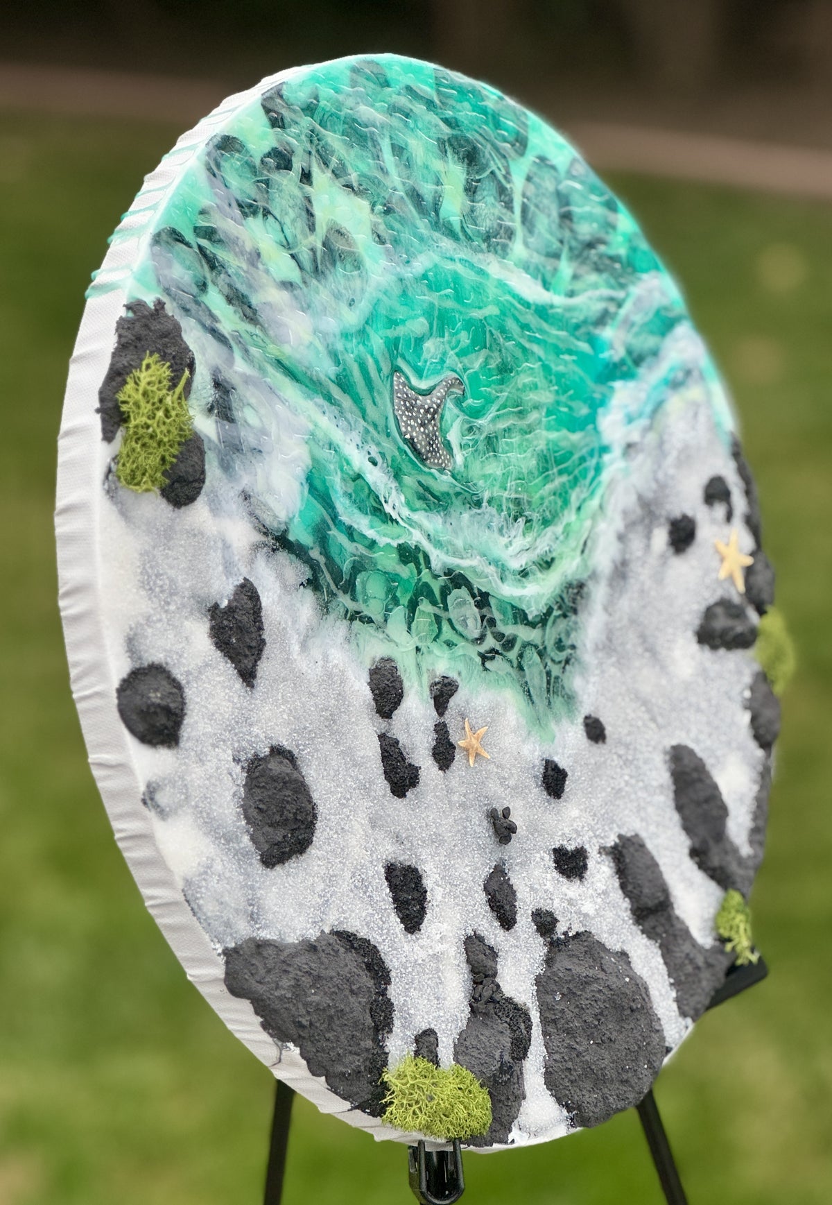 Tide Pool - Image 2