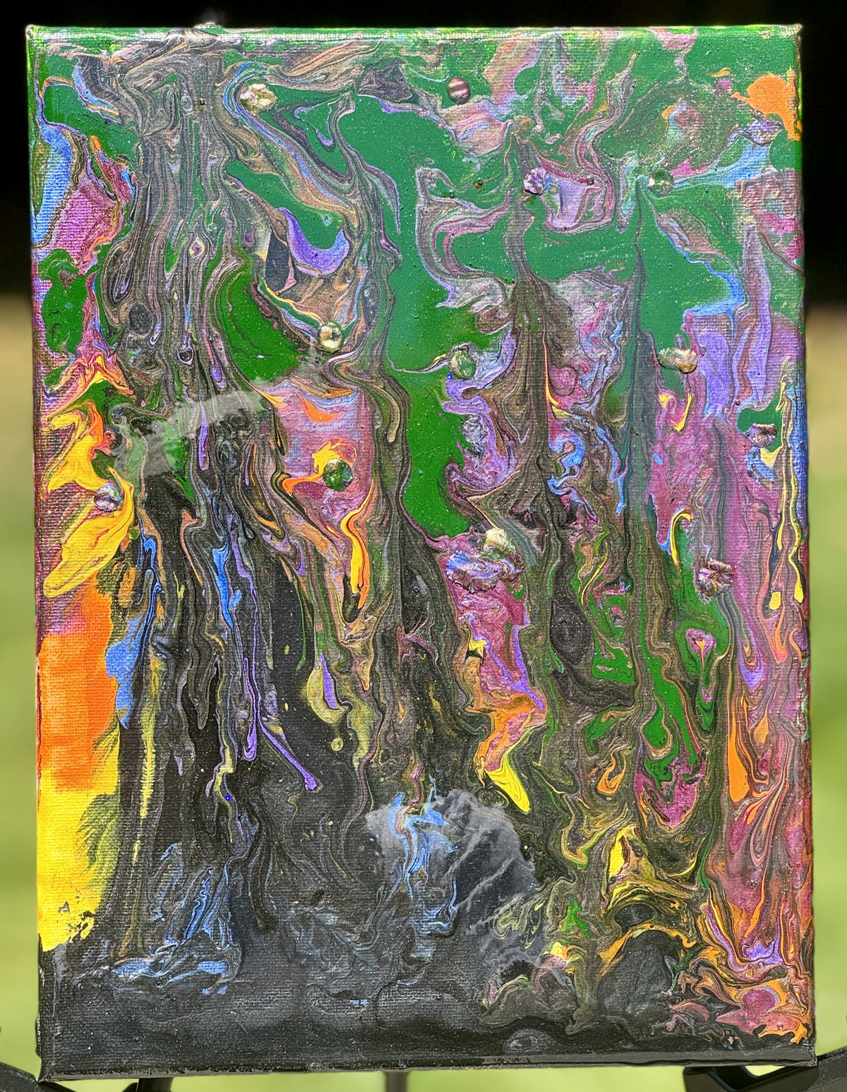 Midnight Canopy - Primary Image