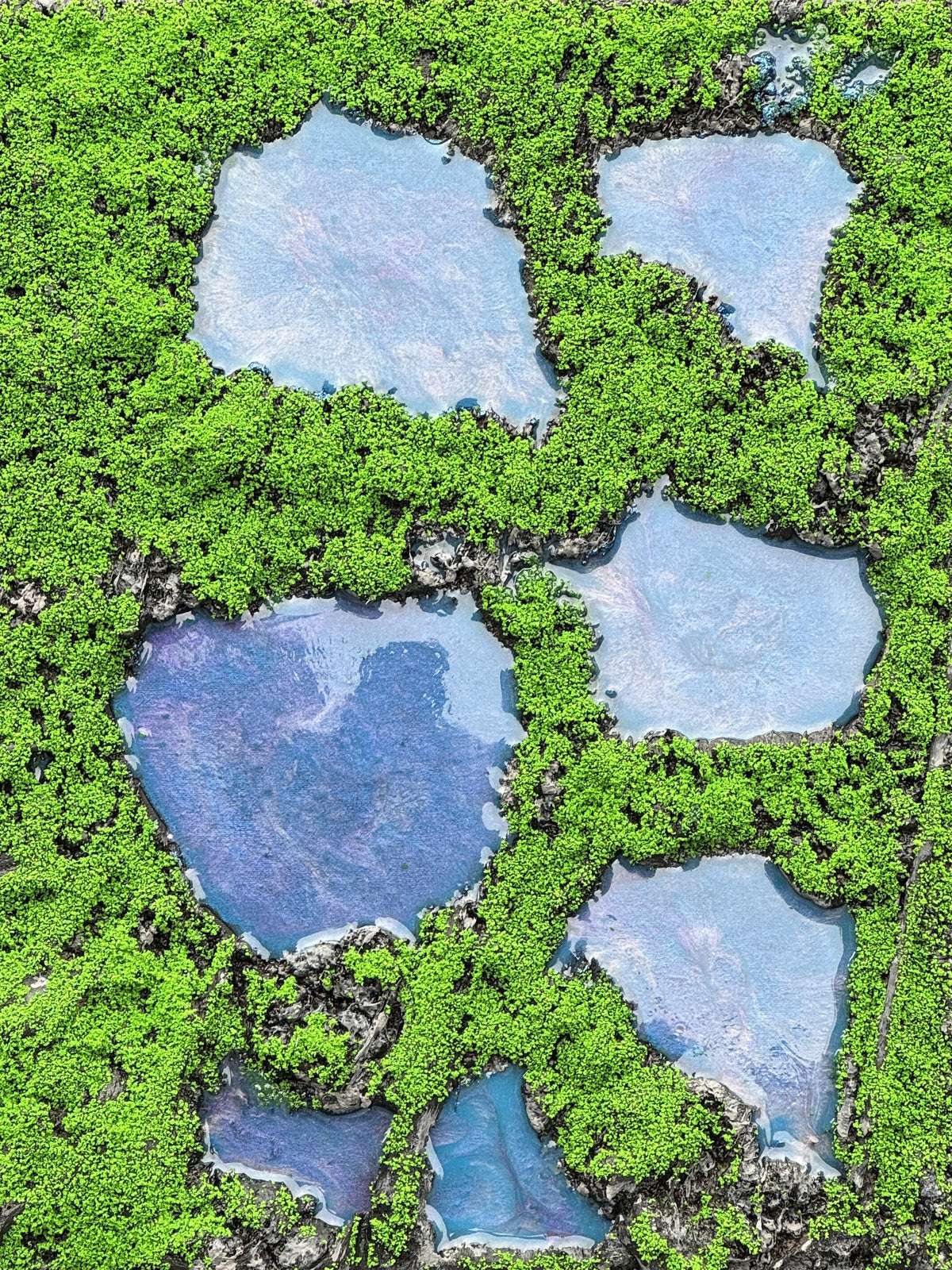 Tranquil Mossy Pools - Primary Image