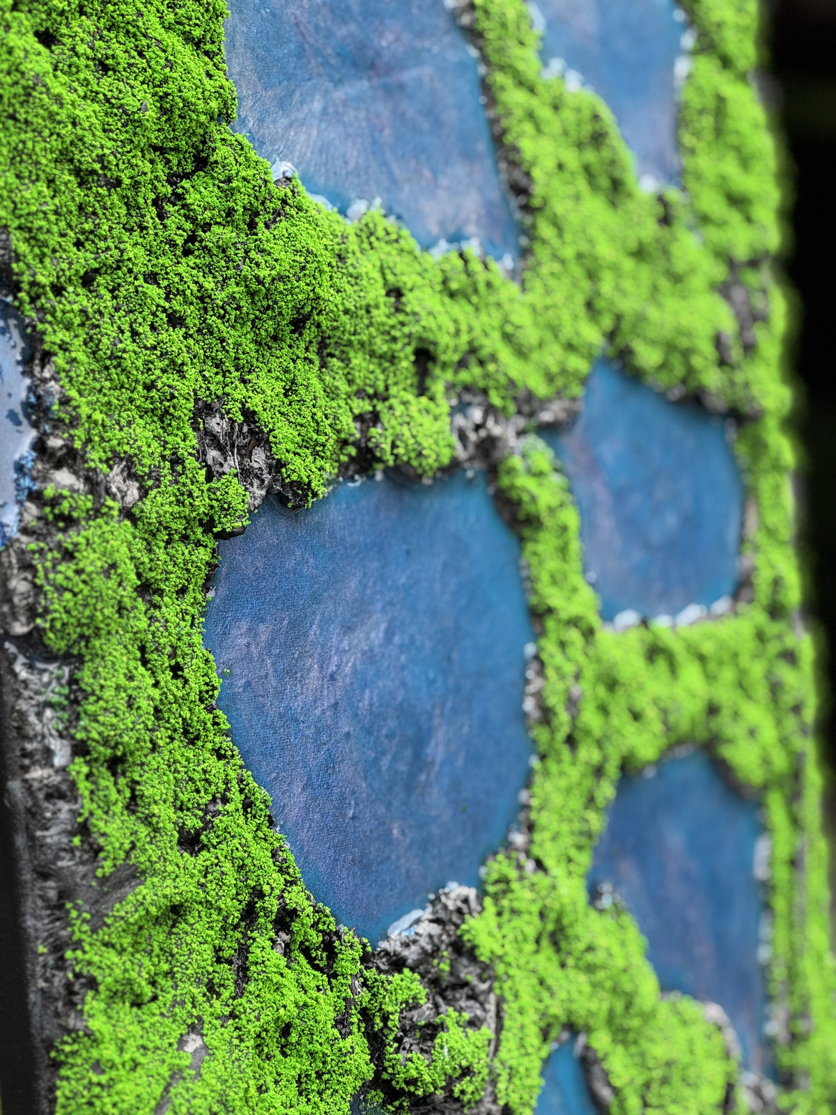 Tranquil Mossy Pools - Image 3